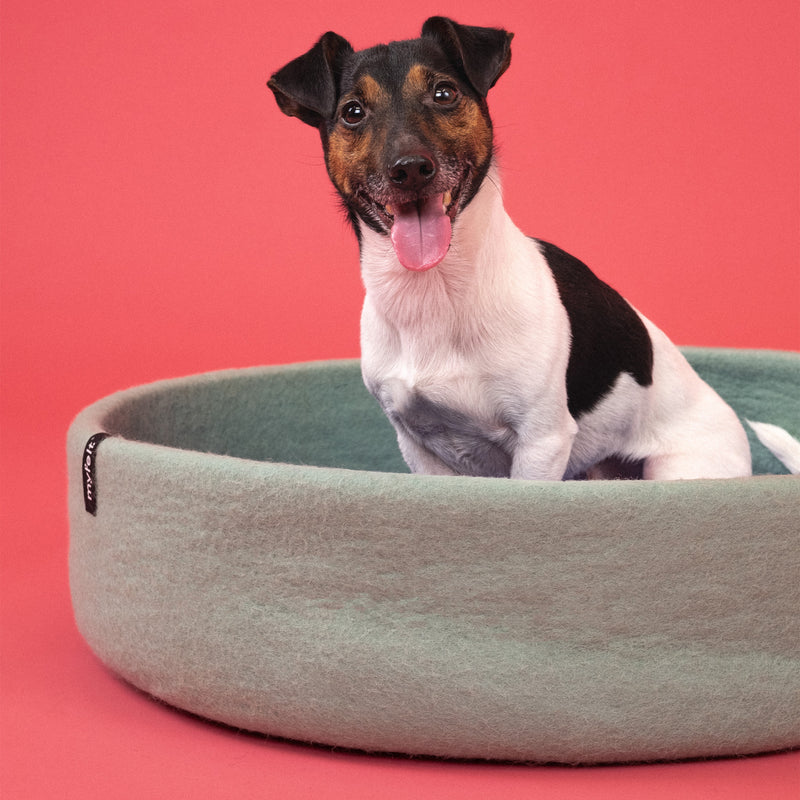 myfelt - Fine Hundekorb