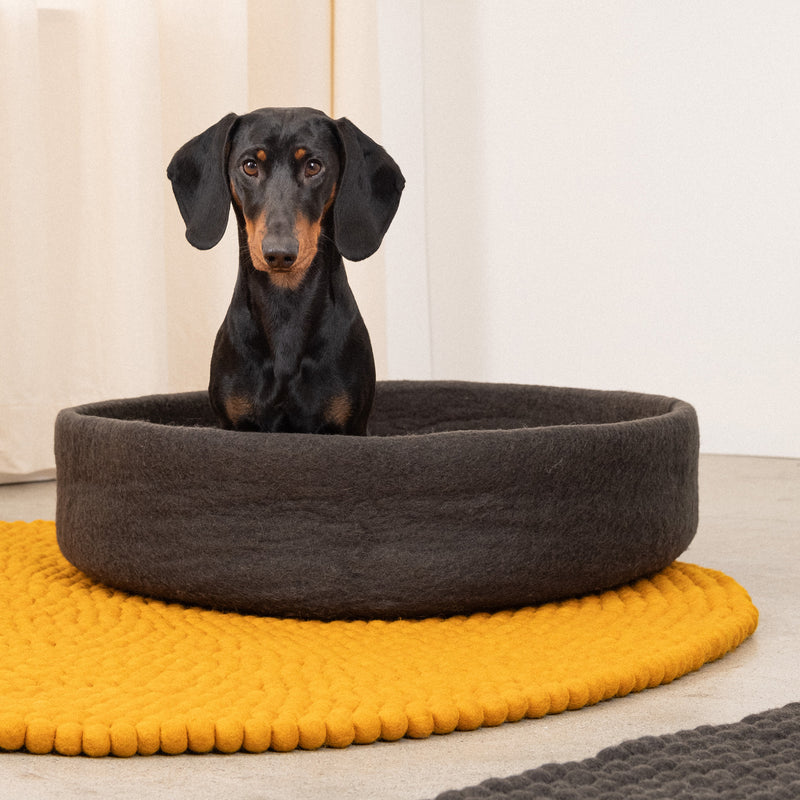 myfelt - Kuno Hundekorb