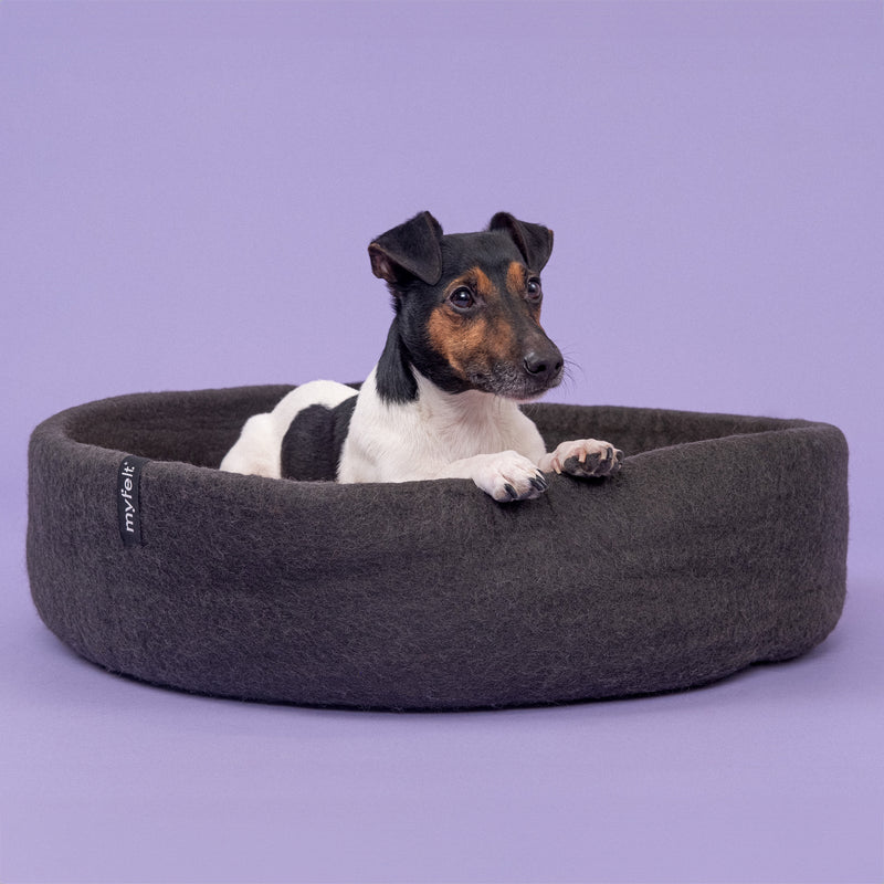myfelt - Kuno Hundekorb
