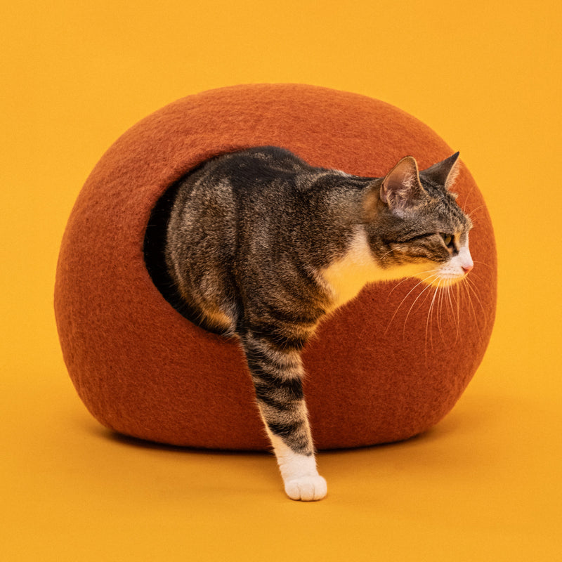 myfelt - Katzenhöhle