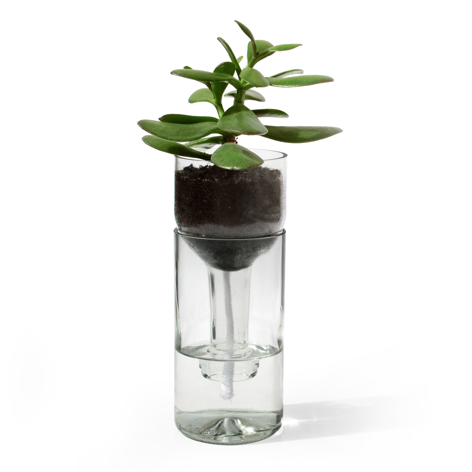 side by side - Self Watering Bottle Blumentopf | klarglas