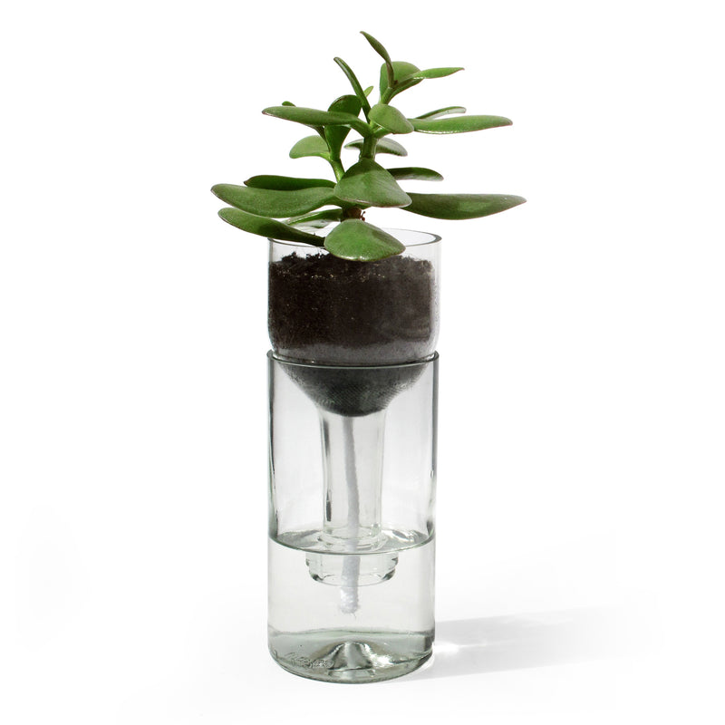 side by side - Self Watering Bottle Blumentopf | klarglas